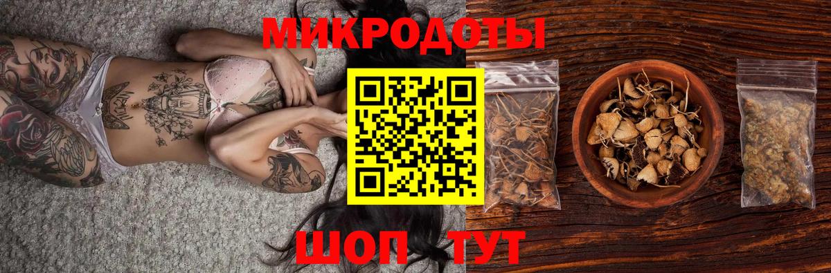 Галлюциногенные грибы Cubensis Узловая
