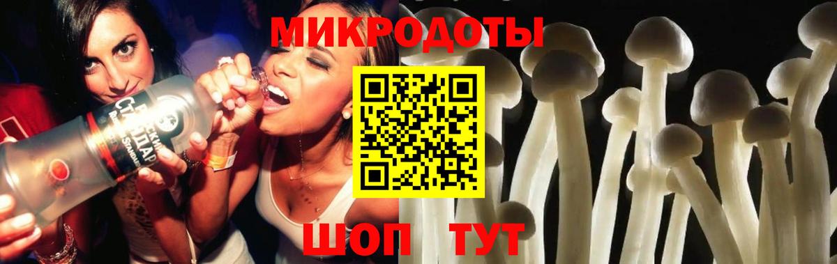 Псилоцибиновые грибы GOLDEN TEACHER  Вход с VPN  Узловая 