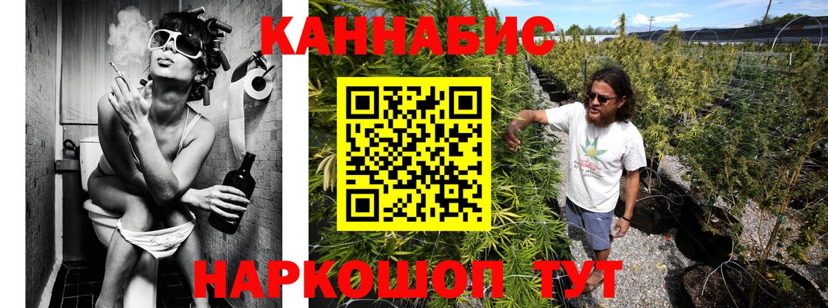 Шишки марихуана конопля Узловая